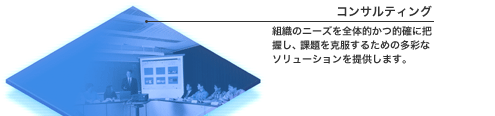 コンサルティング 組織のニーズを全体的かつ的確に把握し、課題を克服するための多彩なソリューションを提供します。