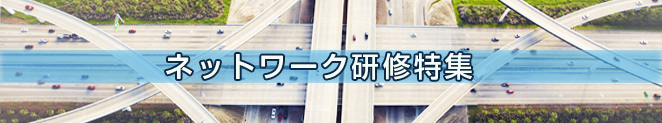 ネットワーク研修特集：ネットワーク領域の人材を育成するための研修体系