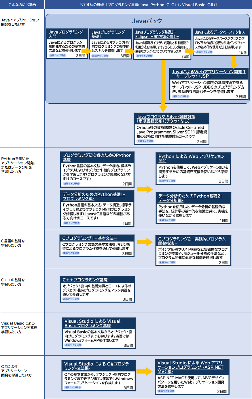 プログラミング言語（Java、Python、C、C++、Visual Basic、C#）