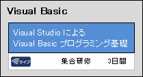 Visual Basic